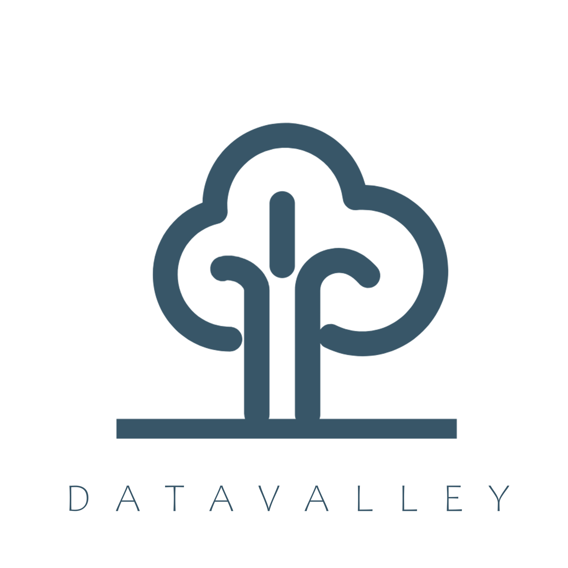 Datavalley Web Services